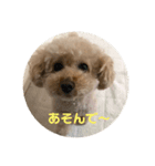 ワンコやで（個別スタンプ：2）