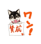 黒柴犬あずきスタンプ（個別スタンプ：33）