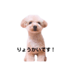 めるのすたんぷ（個別スタンプ：2）