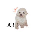 めるのすたんぷ（個別スタンプ：6）