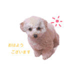 めるのすたんぷ（個別スタンプ：7）