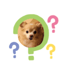 ロミオとジュリエット（個別スタンプ：1）
