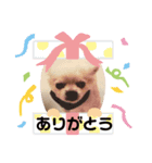 ロミオとジュリエット（個別スタンプ：7）