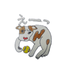 ぶち犬2（個別スタンプ：17）