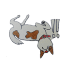 ぶち犬2（個別スタンプ：21）