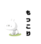 猫2弾（個別スタンプ：14）