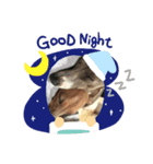 ®️dog（個別スタンプ：8）