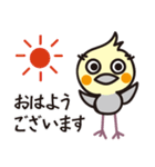 オカメインコ・チャッピーの毎日の挨拶編（個別スタンプ：1）