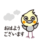 オカメインコ・チャッピーの毎日の挨拶編（個別スタンプ：2）