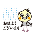 オカメインコ・チャッピーの毎日の挨拶編（個別スタンプ：3）