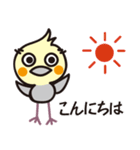 オカメインコ・チャッピーの毎日の挨拶編（個別スタンプ：5）
