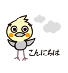オカメインコ・チャッピーの毎日の挨拶編（個別スタンプ：6）