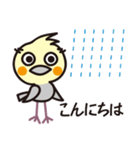 オカメインコ・チャッピーの毎日の挨拶編（個別スタンプ：7）