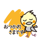 オカメインコ・チャッピーの毎日の挨拶編（個別スタンプ：12）