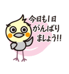 オカメインコ・チャッピーの毎日の挨拶編（個別スタンプ：13）