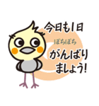 オカメインコ・チャッピーの毎日の挨拶編（個別スタンプ：14）