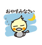 オカメインコ・チャッピーの毎日の挨拶編（個別スタンプ：17）