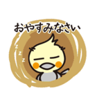 オカメインコ・チャッピーの毎日の挨拶編（個別スタンプ：18）