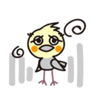 オカメインコ・チャッピーの毎日の挨拶編（個別スタンプ：21）