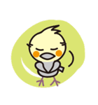 オカメインコ・チャッピーの毎日の挨拶編（個別スタンプ：24）