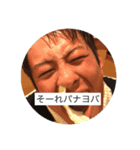鳥メロ海賊団（個別スタンプ：3）
