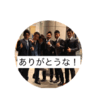 鳥メロ海賊団（個別スタンプ：8）