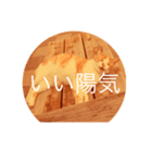 ねことく（個別スタンプ：5）
