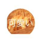 ねことく（個別スタンプ：7）
