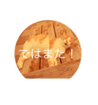 ねことく（個別スタンプ：8）