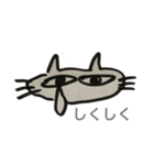 気ままねこ【ムサシ】（個別スタンプ：16）