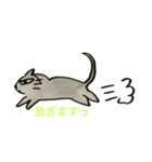 気ままねこ【ムサシ】（個別スタンプ：37）
