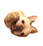ワンワン先生（個別スタンプ：4）