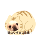 ワンワン先生（個別スタンプ：8）