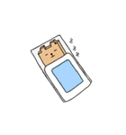 シカクイクマ（個別スタンプ：21）