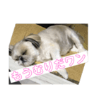 モッさんスタンプ（個別スタンプ：5）