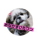 モッさんスタンプ（個別スタンプ：8）