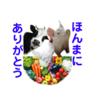 BOP CAFE KOBE（個別スタンプ：6）