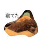 Mix犬の夢羽さん①（個別スタンプ：5）