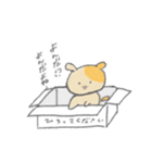 箱入り いぬっこ（個別スタンプ：1）