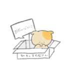 箱入り いぬっこ（個別スタンプ：6）
