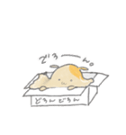 箱入り いぬっこ（個別スタンプ：8）