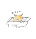 箱入り いぬっこ（個別スタンプ：40）