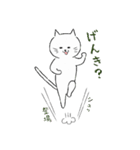 しろねこにゃうんちゃん（個別スタンプ：1）