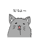 デブかわ猫ちゃん（個別スタンプ：1）