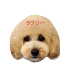 ト（個別スタンプ：5）