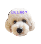 ト（個別スタンプ：6）