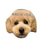 ト（個別スタンプ：7）