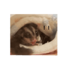 わさカル（個別スタンプ：7）