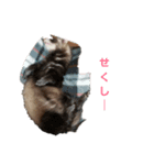 わさカル（個別スタンプ：8）
