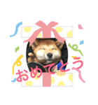 ぎん  便利スタンプ！（個別スタンプ：7）